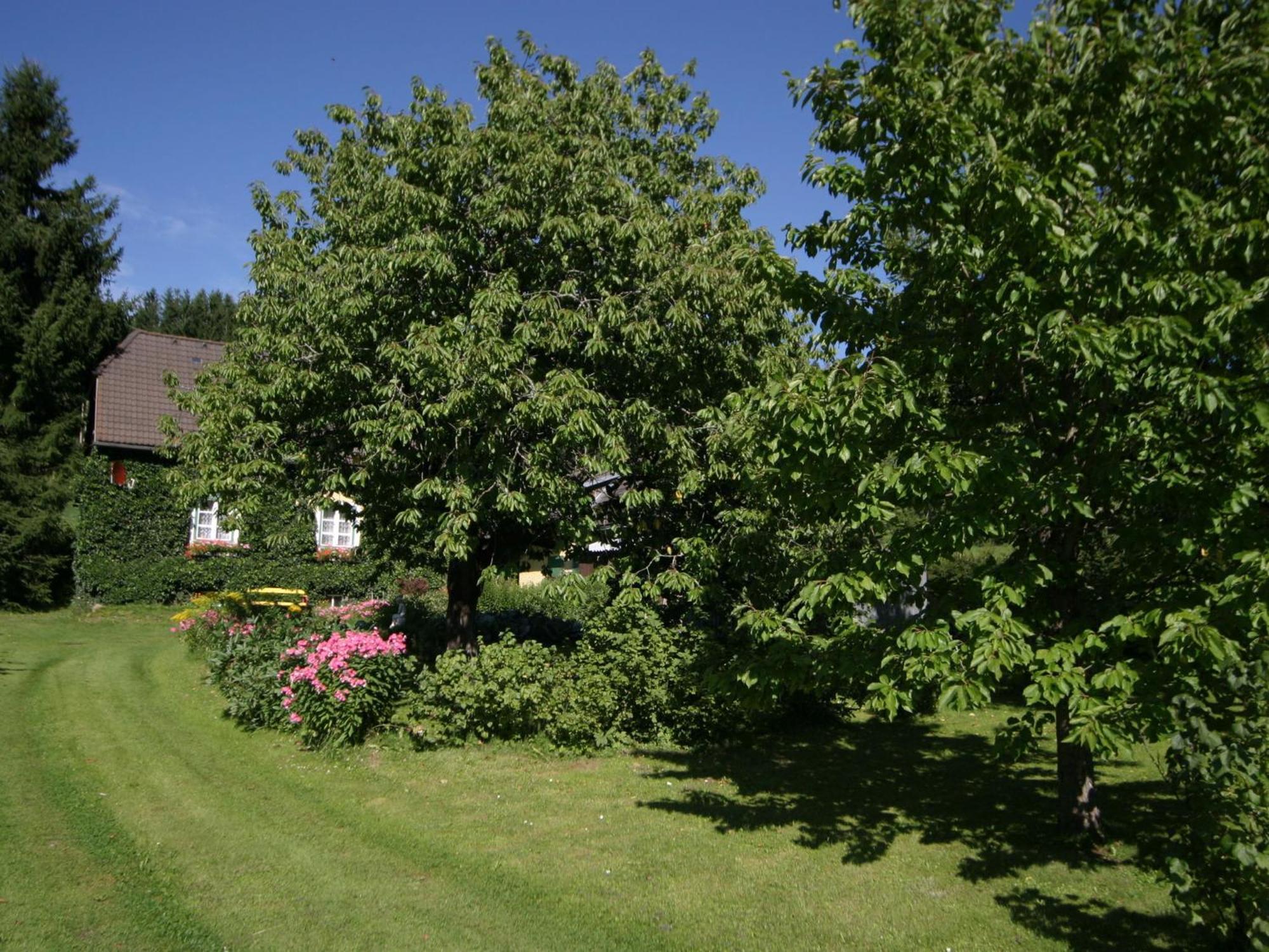 Holiday Home In Scheifling Near Ski Area Dış mekan fotoğraf
